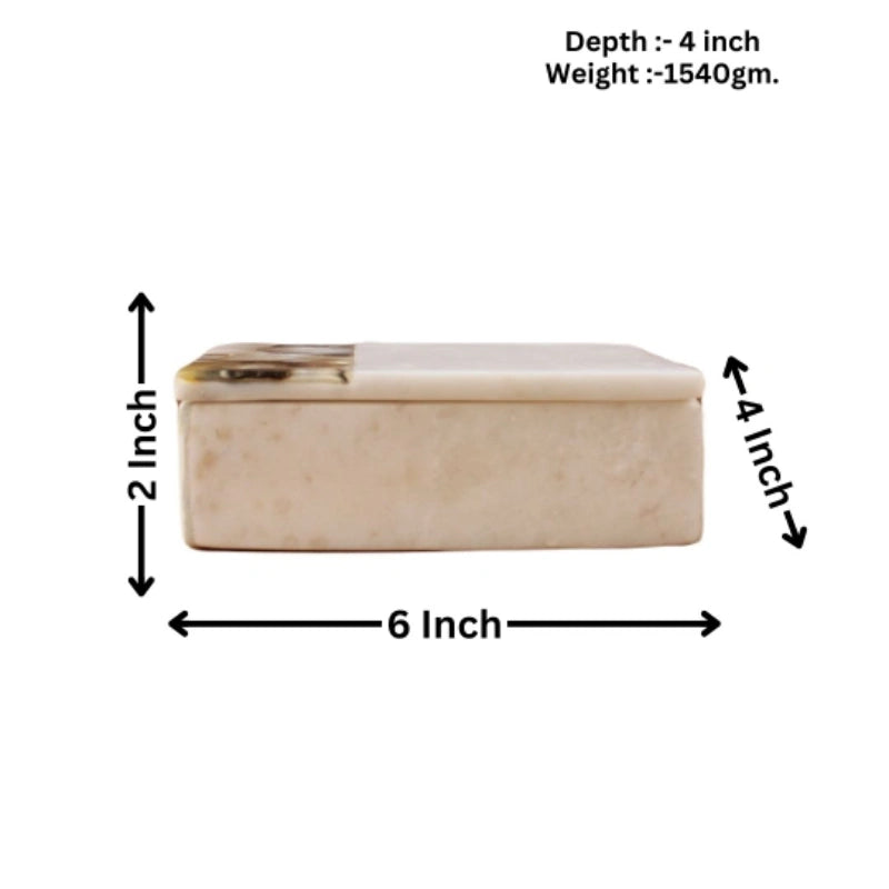 Sea Shell 6x4x2 inches