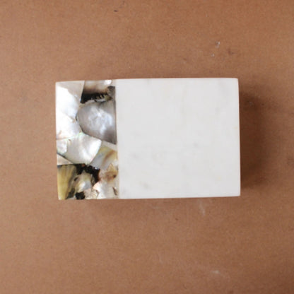 Sea Shell 6x4x2 inches